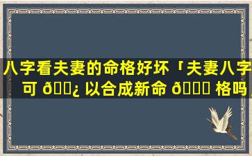 八字看夫妻的命格好坏「夫妻八字可 🌿 以合成新命 🕊 格吗」